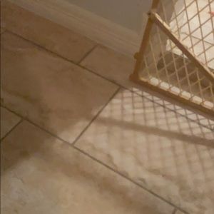 Meet your Posher, Eva